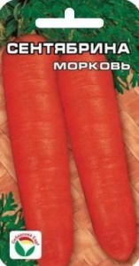 морковь сентябрина сиб сад 2
