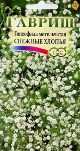 цв ги сне