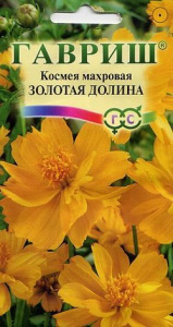 долина