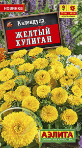 хулиган аэл