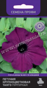 4ab26c9d5203ad4b4cd738eb241789aa