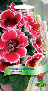 глокс фирма поиск