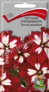 кан
