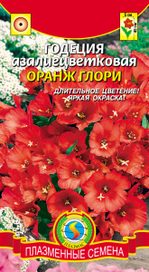 годеция оранж глори плазма