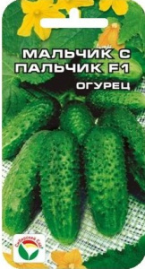 malchik-s-palchik-f1