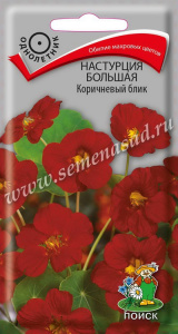 блик