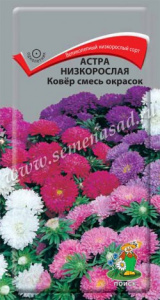 астра ковер