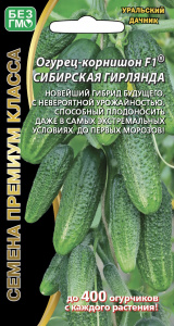 ogurec-kornishon-buketnogo-tipa-zavyazey-sibirskaya-girlyanda-f1_18250920341