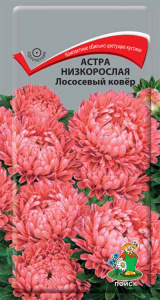 астра низкорос лососевый ковёр поиск