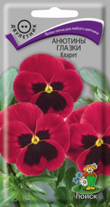 анют глазк кларет поиск