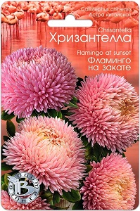 флами