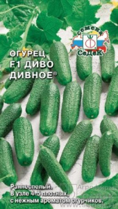диво-дивное седек