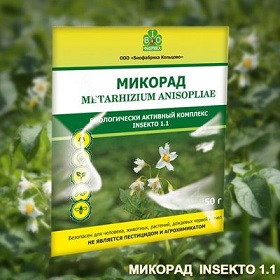 mikorad_insekto_11