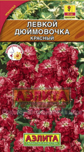 левкой дюймовочка аэлит красн