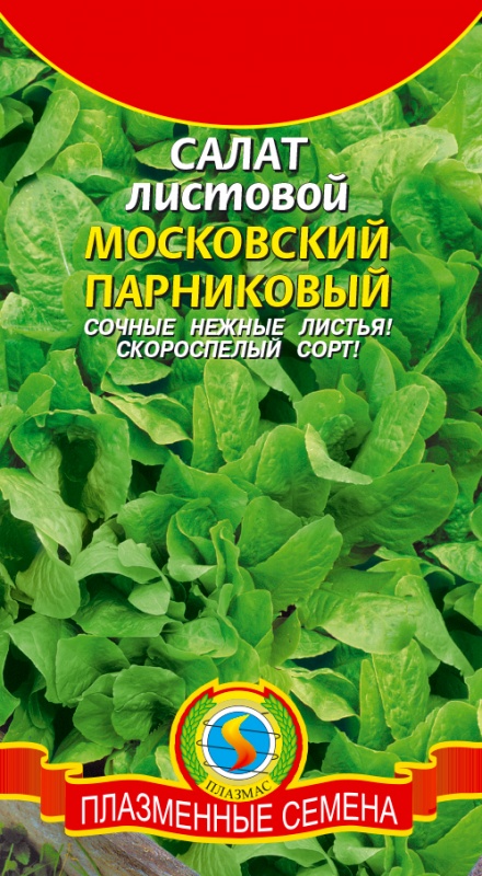 Салат листовой, Московский парниковый 