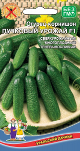 ogurec-kornishon-puchkovyy-urozhay-f1