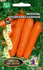 morkov-altayskaya-saharnaya-1