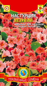 настур везувий плазма