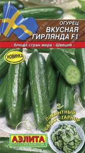 N_1705966-ogurec-Vkusnaya-girlyanda-kopiya