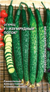 огурец изумп поток с