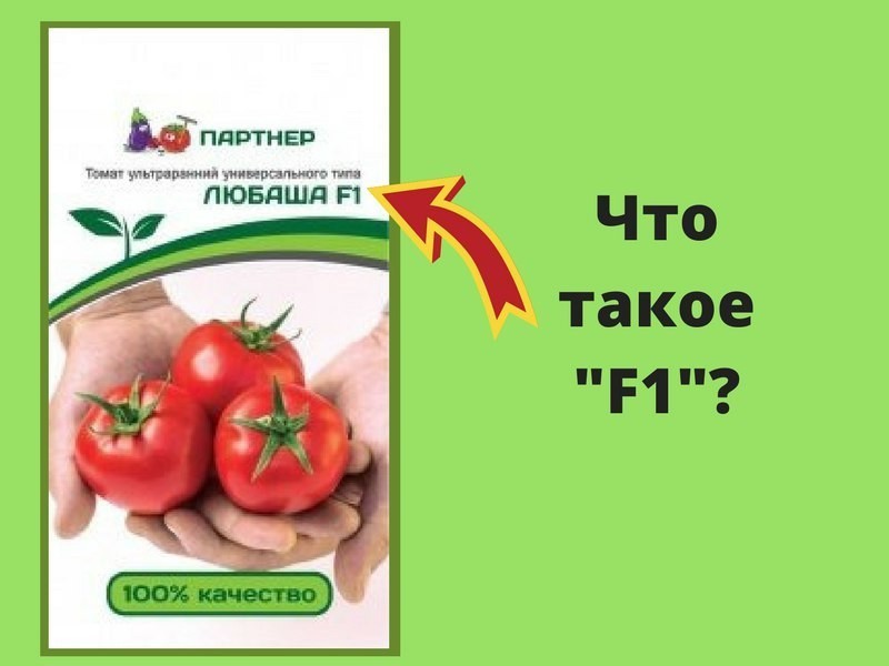 Тайный знак F1 Тайный знак F1
