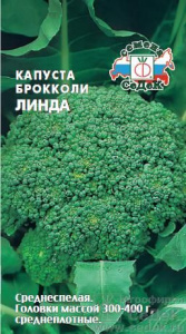 кап бр линда (2)