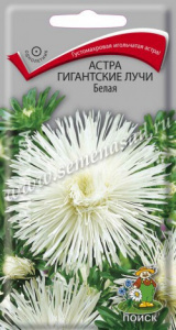 30cfd0b63505e06cb02c18231c86420b