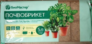 брикет пальма