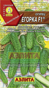егорка аэлита