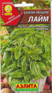 bazilik_ovoshchnoy_laym