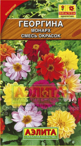 георгина Монарх,смесь окрасок аэлита
