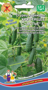 ogurec-kornishon-hrustyaschee-schaste-f1