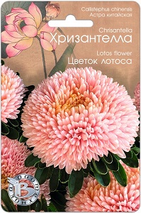 лотос