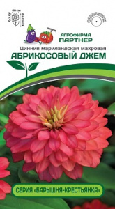 джем