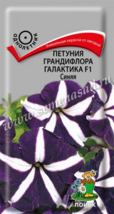 галактика