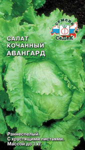 салат Авангард 