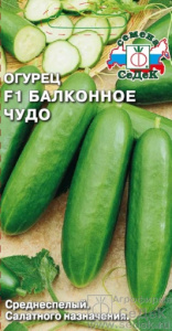 ogurets_balkonnoe_chudo_f1