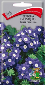 верб синяя