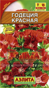 годеция красная аэлита