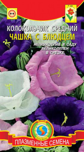 kolokolchik-sredniy-chashka-s-blyudcem