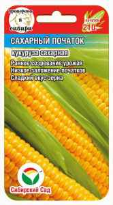 kukuruza_sakharnyy_pochatok сиб сад