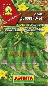 домовенок аэлита
