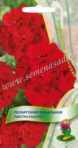 5a85160d5c29f717692616f16dbc7897