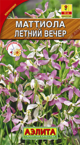 маттиола летн вечер