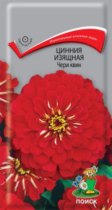 цин чери квин поиск