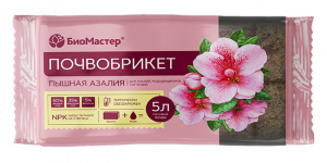 брикет азалия