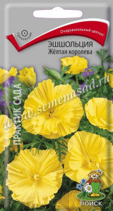 эшшол