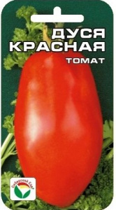 Дуся красная СибСад 1