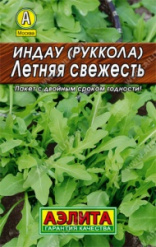 Индау (Руккола), Летняя свежесть