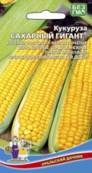 Кукуруза, Сахарный гигант